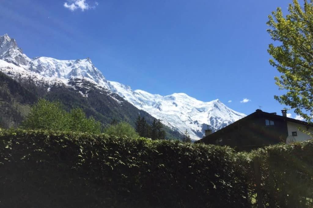 Studio Au Calme Avec Jardin Et Vue Mont-Blanc Шамони Экстерьер фото