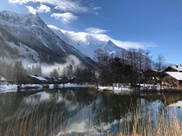 Studio Au Calme Avec Jardin Et Vue Mont-Blanc Шамони Экстерьер фото